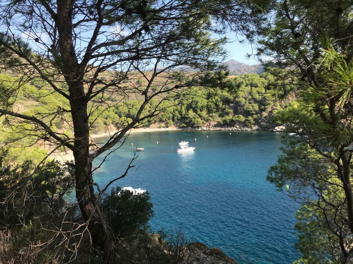 Apartmán Castell Blau Roses Exteriér fotografie